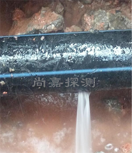 谢家集消防管道漏点探测
