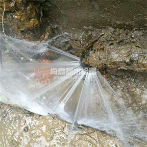 谢家集自来水管道漏点检测